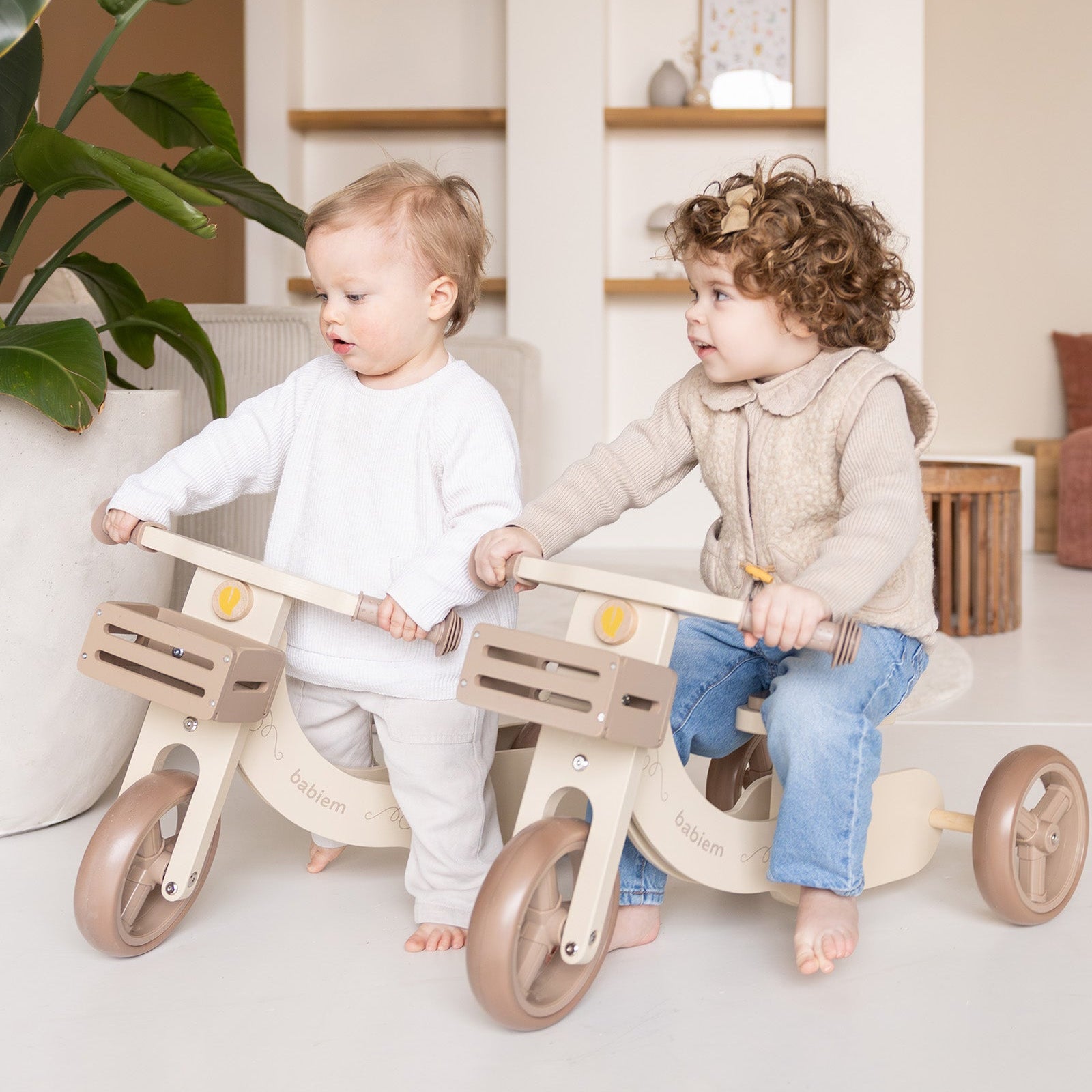 Babiem® 2-in-1 Loopfiets James | Verstelbaar van 3 naar 2 Wielen