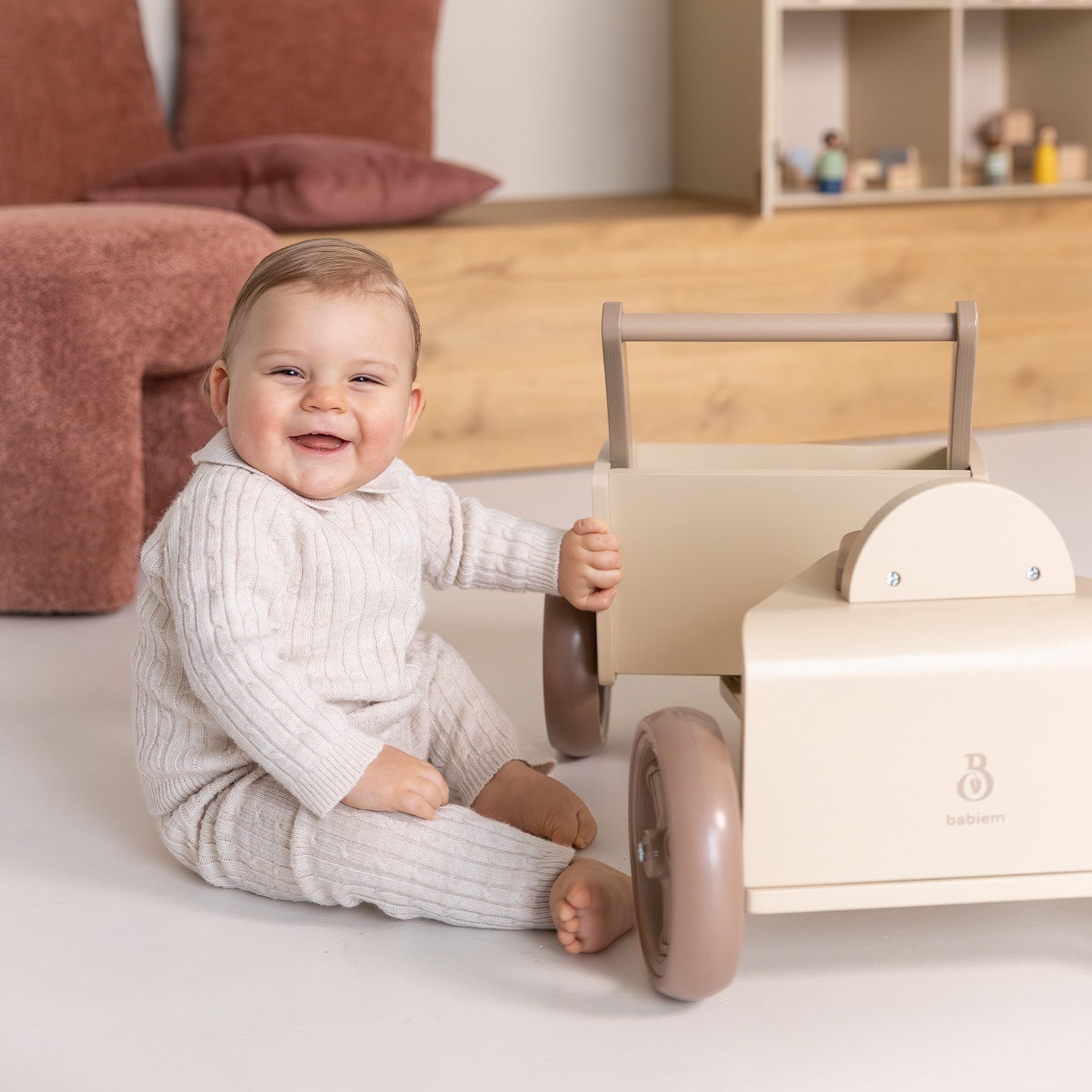 Babiem® Cargo Bike Moos | Including Accessories